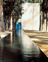 1980-w-07sm.jpg
