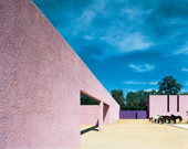 1980-w-08sm_0.jpg